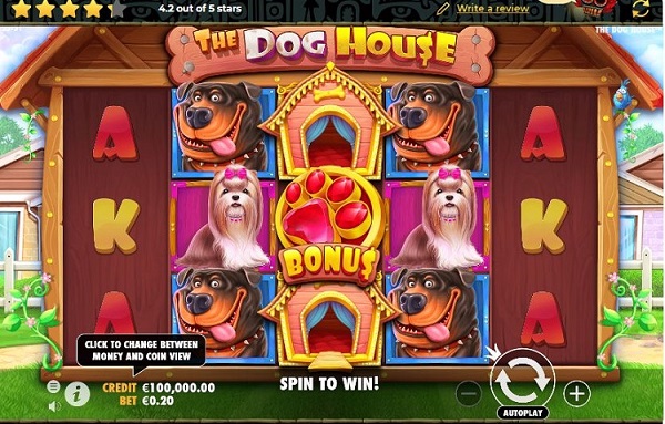Cara memainkan game The Dog House Megaways secara detail untuk pemula
